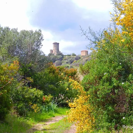 Lejlighed In Ascea/cilento 38298