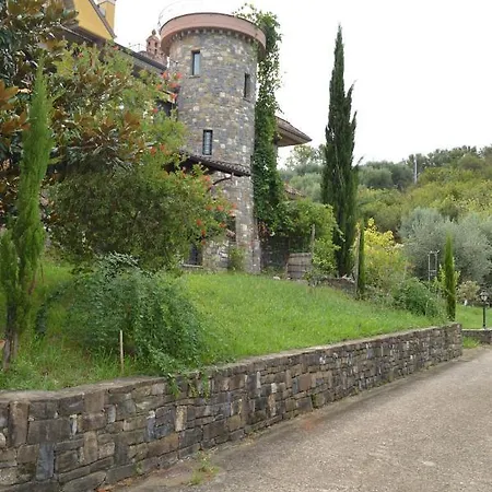 In - Cilento 38298 *